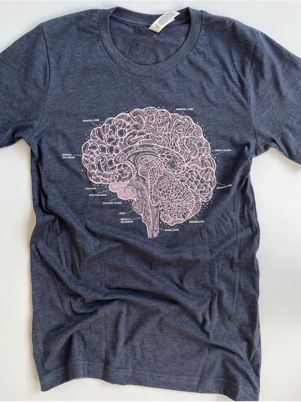 Labeled brain blue Gray Graphic Brain Tee